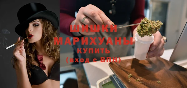 ПСИЛОЦИБИНОВЫЕ ГРИБЫ Богданович
