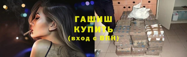 ПСИЛОЦИБИНОВЫЕ ГРИБЫ Богданович