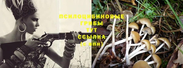 ПСИЛОЦИБИНОВЫЕ ГРИБЫ Богданович