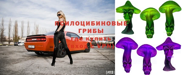 эйфоретик Богородицк
