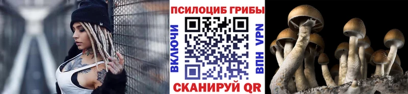 Галлюциногенные грибы GOLDEN TEACHER  цена   Артём 